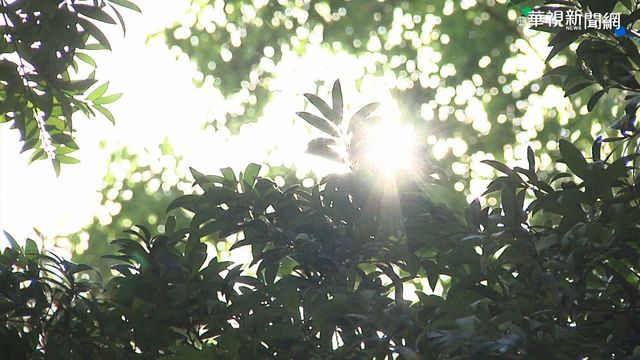 梵高逐漸遠離！ 水氣減少 週日「高溫上看30度」