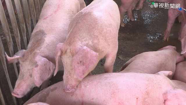 吳釗燮談「加入國際社會」遭教授狠酸：鄉巴佬思維