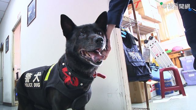 流浪犬小黑變警犬 出貼圖買肉肉