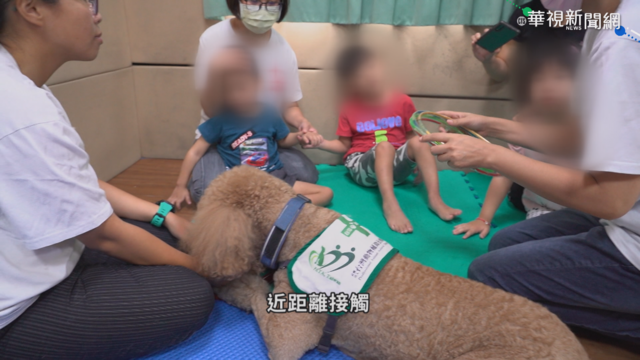 助身心障打開心房 犬貓治療立大功