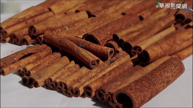 肉桂發源斯里蘭卡 風味獨特見仁見智
