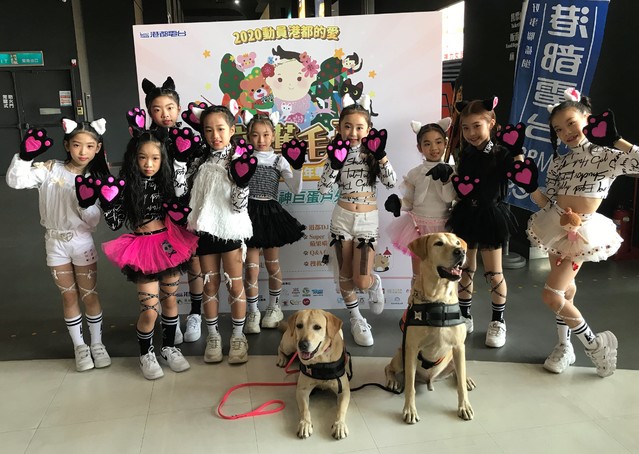 尊重生命!「守護毛小孩」公益嘉年華29日登場