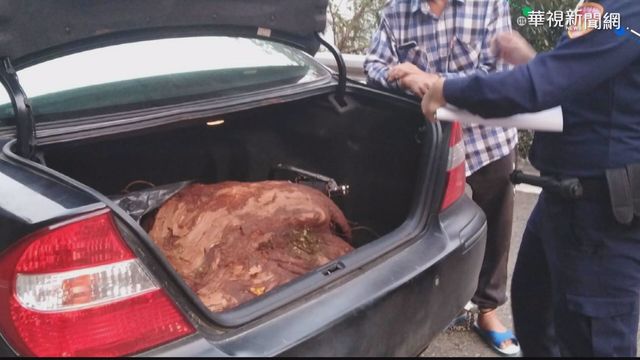 盜伐珍貴國有木! 警民圍捕山老鼠