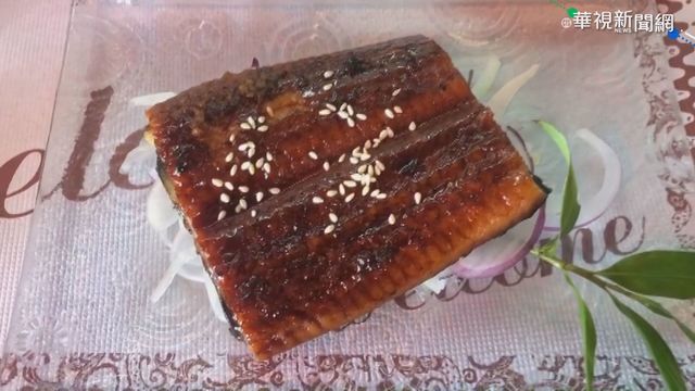 疫情衝擊外銷量 鰻苗市場供過於求