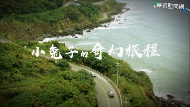 花蓮唇顎裂寶寶 跨越百公里北上求醫