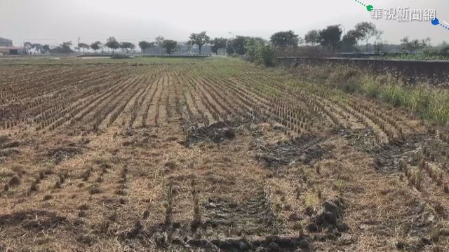 水情拉警報! 嘉南一期稻作恐停灌