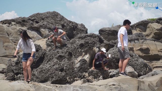 台東小野柳 劃設為富岡地質公園