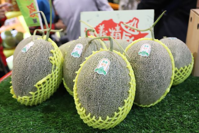 「極光」哈密瓜商標被盜用 縣府護農民採法律行動