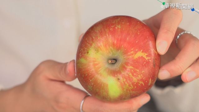 果皮營養成分高 破除果蠟致癌迷思