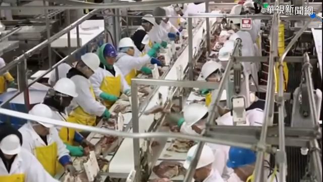 萊豬先查廠再進口 在野喊嚴格監督