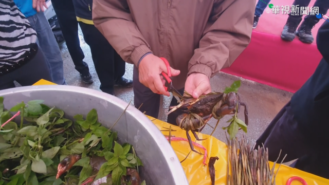 ｢時潮蟳蝦祭｣登場 體驗撈蝦綁紅蟳