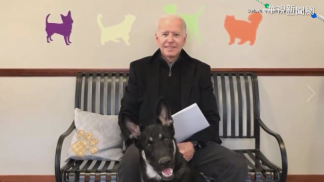 和愛犬玩耍扭傷腳 拜登赴骨科檢查