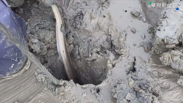 「五叉戟」抓土龍 40年技藝恐失傳