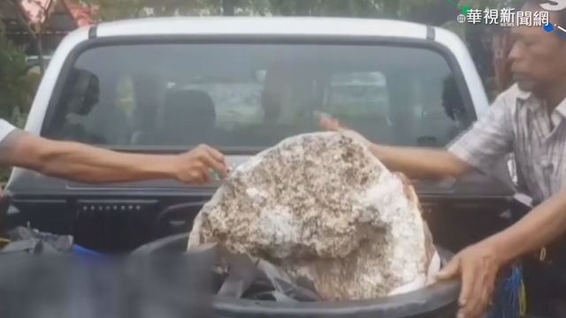 疑拾獲百公斤龍涎香 泰漁民估賺9千萬