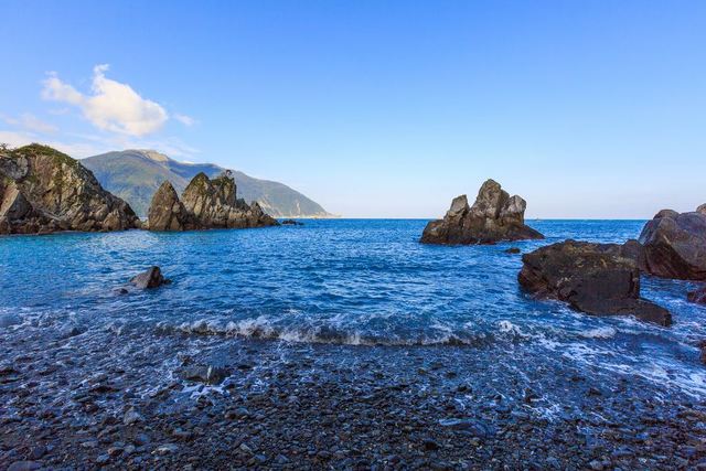 小資旅遊！網紅秘境「粉鳥林」 20元公車直達