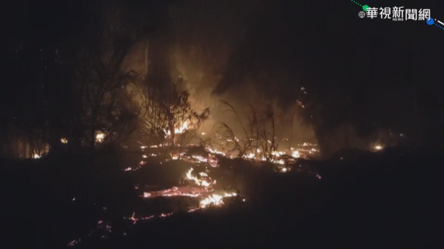 金門畜產試驗所大火 動物未受到波及