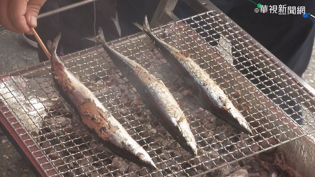 近十年來最高 秋刀魚每公斤120元