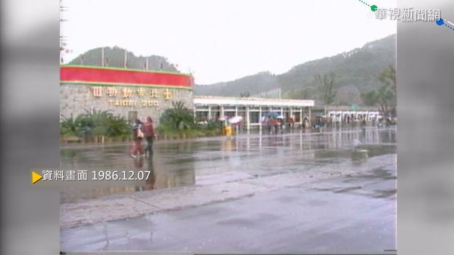 【歷史上的今天】木柵動物園啟用 民眾冒雨搶參觀