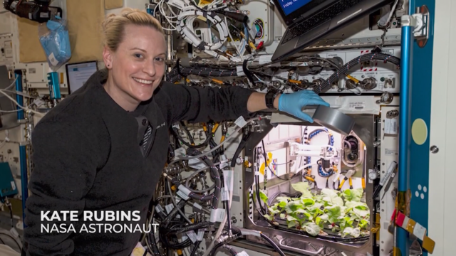 NASA再創壯舉 養出首批「太空蘿蔔」