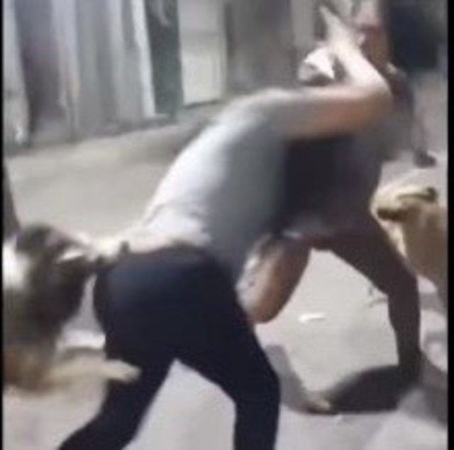 嘗試切她中路 2女激鬥汪飛撲勸架釀脫褲悲劇