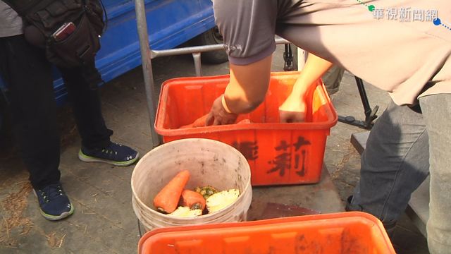 骨頭該丟廚餘還一般垃圾？其實「這分類」才正確