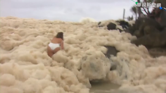 家犬戲水困泡沫海 主人.遊客合力搶救