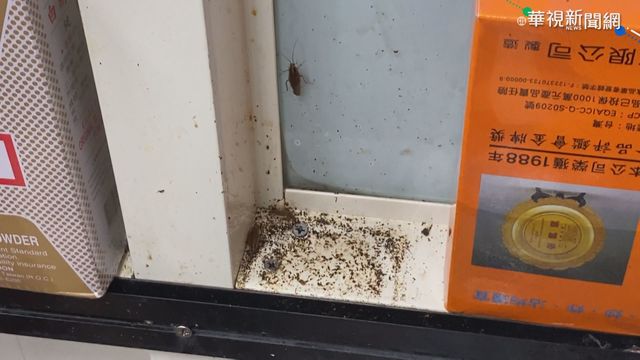 25家觀光漁港餐廳稽查 20家不衛生