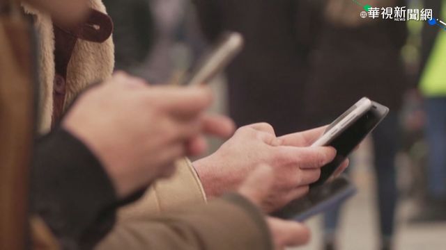 外媒盤點年度「11大創新紀錄」 天價賽鴿、BTS入榜