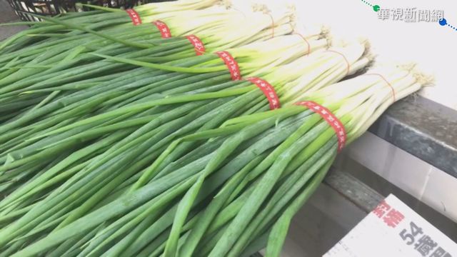 雨不停產量差 三星蔥擬移花蓮保種