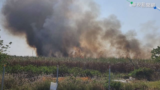 台南甘蔗園火警 風勢助長火勢延燒