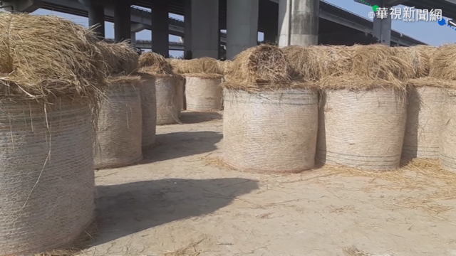 666坪稻草捲迷宮 雲林拍美照熱點