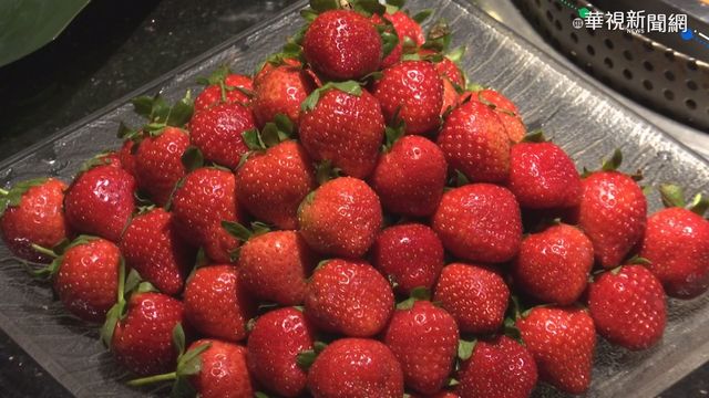 粉紅商機! 麻辣鍋業者推｢草莓吃到飽｣