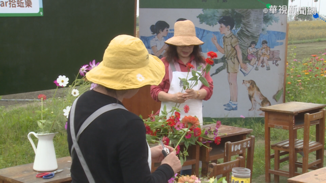 嘉義菸田轉型花海 變熱門打卡景點