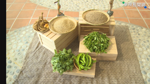 野菜學校成立 盼找回原民飲食文化