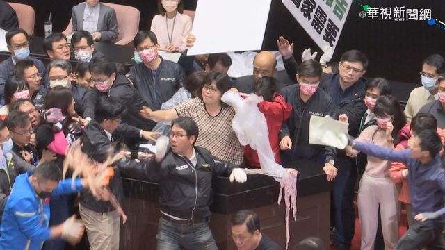 萊豬表決! 藍號召抗爭 綠委戴鋼盔衝