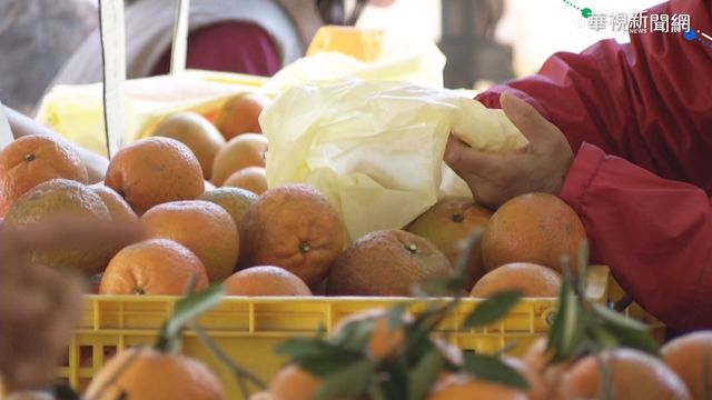 竹縣柑橘旱災減產 4鄉鎮獲現金救助