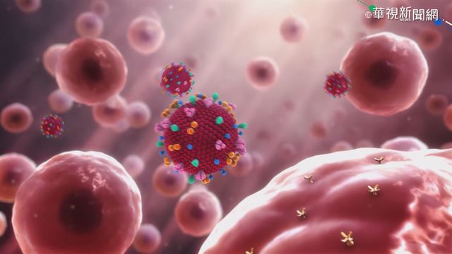 外籍機師輕忽防疫 謝宗學感嘆：不難想像歐美疫情…