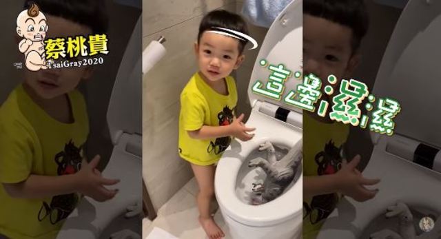 放任式教育？ 蔡桃貴把「恐龍丟馬桶」引戰