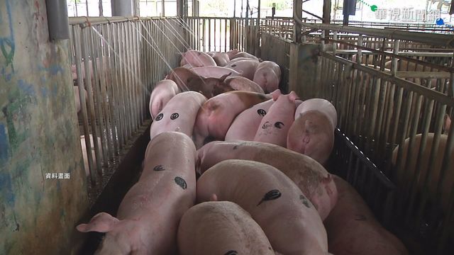 萊豬將叩關 UN.各國標準一次看清楚