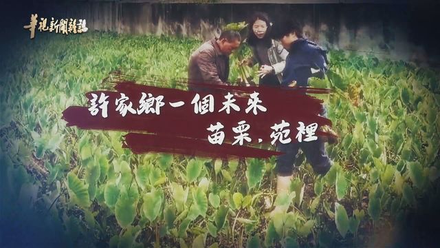 苑裡掀海風 掀起小鎮新希望｜許家鄉一個未來｜華視新聞雜誌