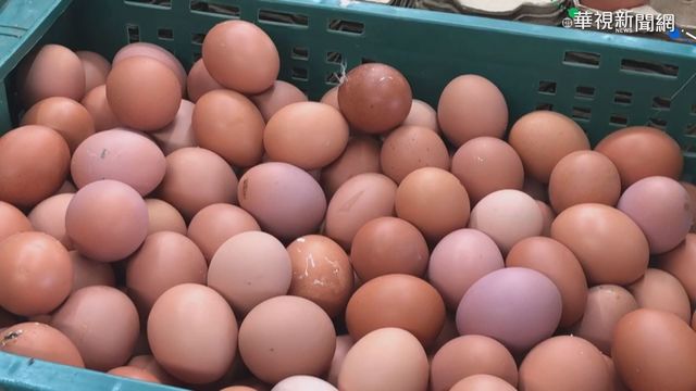 紅蛋黃營養成分較高? 營養師:都差不多