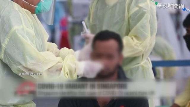 星國再傳本土確診 新航男機組員染疫