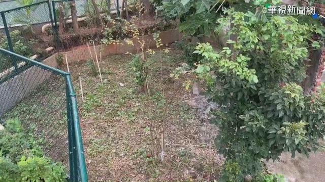 國有地綠美化受阻 里長籲建商拆圍籬