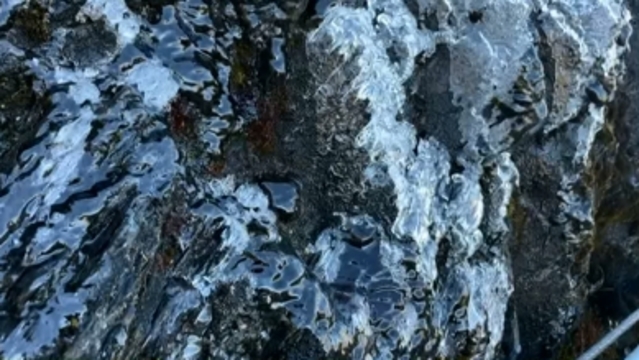 合歡山低溫僅5℃ 武嶺山壁見水晶冰柱