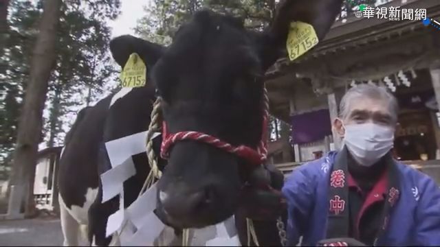 迎接2021年 日本生肖交接登場