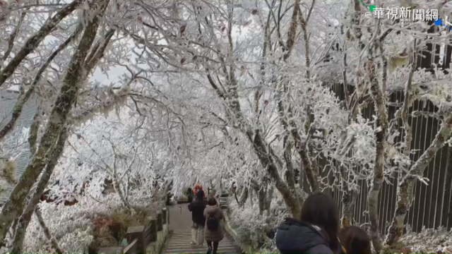 跨年迎2021曙光撲空 遊客驚喜見雪景
