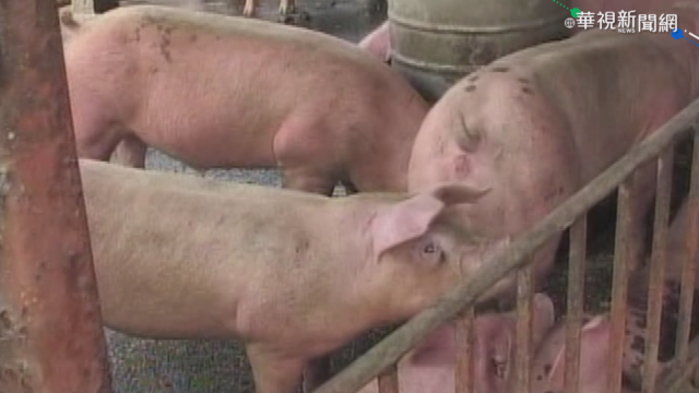 店家改用國產豬成本增2成 漲價難避免