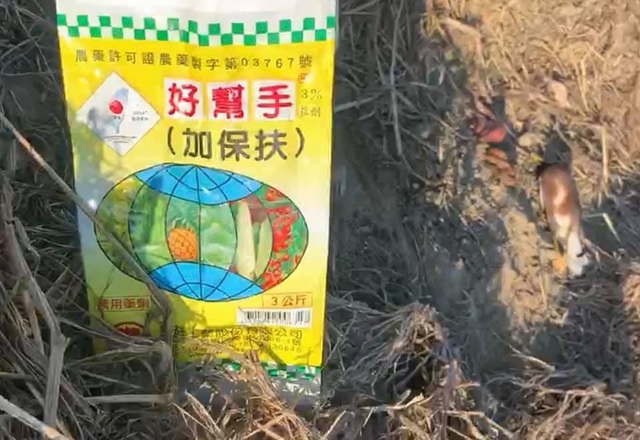 協會表示現場還發現留有一包農藥。（翻攝自新竹市浪愛傳遞貓狗TNVR協會臉書）