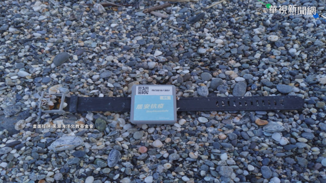 港｢檢疫手環｣漂台灣 現蹤七星潭岸邊