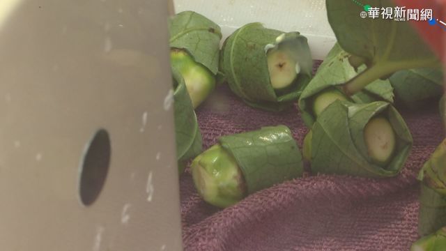 牽涉龐大產業鏈 檳榔防制專法難產